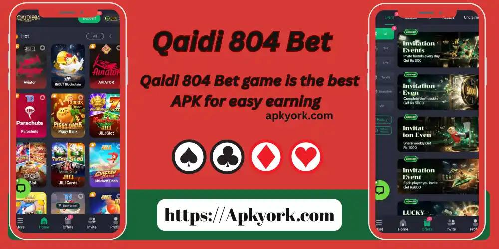 Qaidi 804 Bet