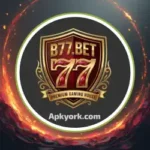 B77 Bet Game