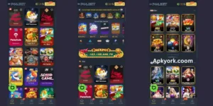 P44 Bet Game Download New Real Earning Apk 3