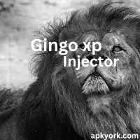 Gringo XP Injector Simple Tool Game For Android 1