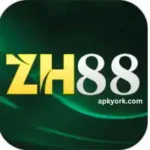 ZH88 Game