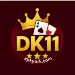 DK11 Game