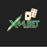 X44 Bet Game