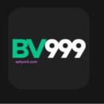 BV999 Game
