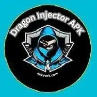 Dragon Injector APK Download Latest Version 2026 1