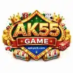 AK55 Game