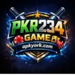 PKR234 Game