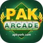 PAK Arcade Game