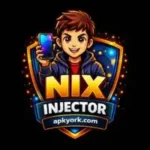 Nix injector