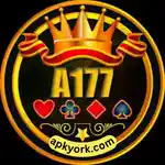 A177 Casino Game