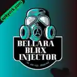 Bellara Injector