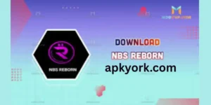 New NBS Reborn Injector APK Download Latest V1.50 2