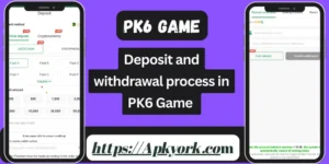 PK6 Game APK Download Real Money In Pakistan 2026 3