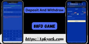 88FD Game Download The Best Earning Platform in Pakistan 2026 4