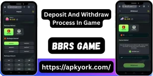 BBRS Game Download New Earning App In Pakistan 2026 4